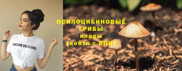 a pvp Абинск