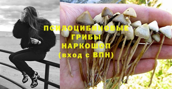 гашиш Абаза