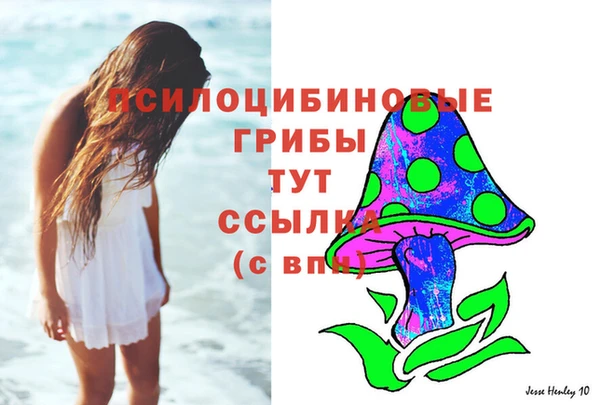 гашиш Абаза