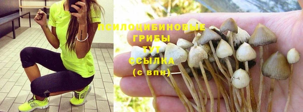 хмурый Абдулино